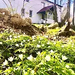 W Karkonoszach Na Chacie Jacuzzi, Sauna, Bilard, Lesny Park Apartment *