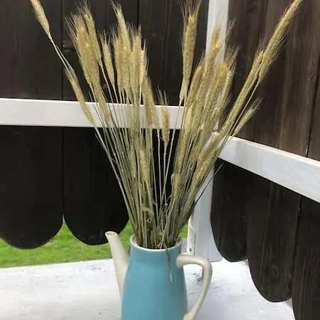 W Karkonoszach Na Chacie #sauna # Bilard #lesny Park Wojcieszyce