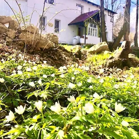 W Karkonoszach Na Chacie Jacuzzi, Sauna, Bilard, Lesny Park Апартаменты *