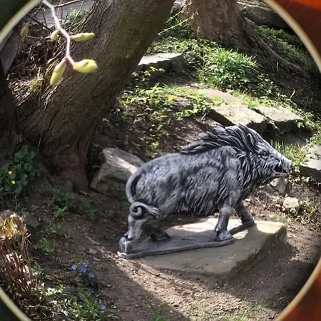 W Karkonoszach Na Chacie #sauna # Bilard #lesny Park *