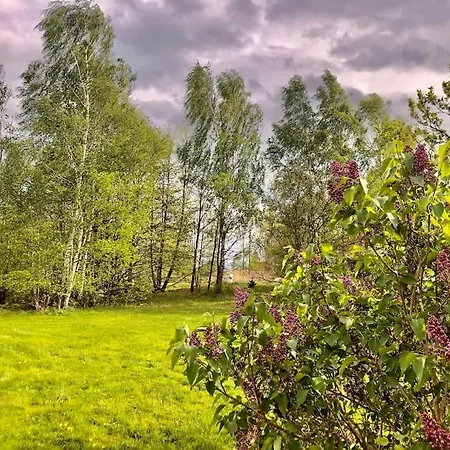 W Karkonoszach Na Chacie #sauna # Bilard #lesny Park Wojcieszyce