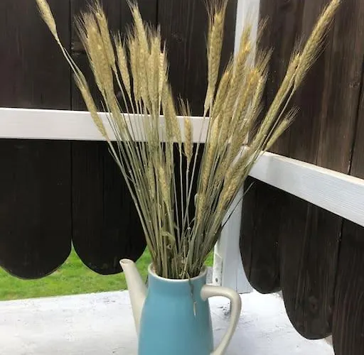 W Karkonoszach Na Chacie #sauna # Bilard #leśny Park Wojcieszyce