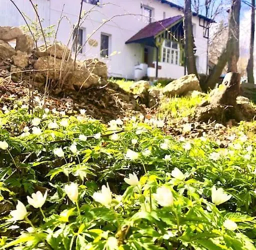 W Karkonoszach Na Chacie #sauna # Bilard #lesny Park Appartamento *