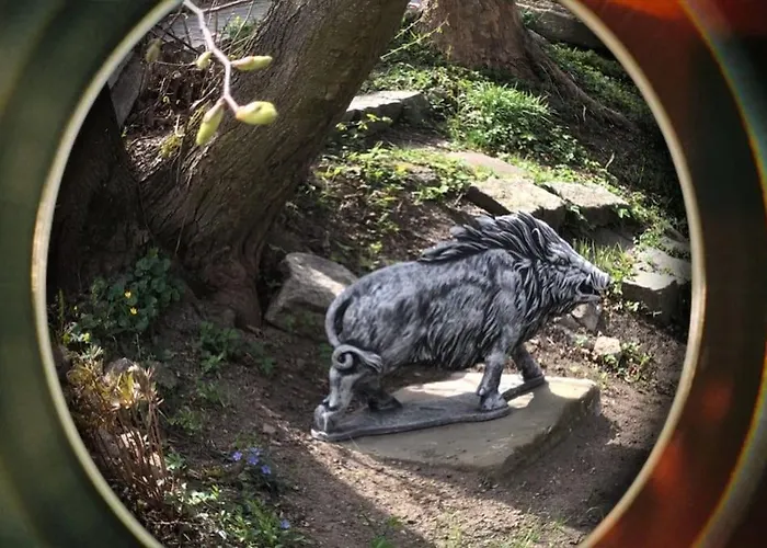 W Karkonoszach Na Chacie #sauna # Bilard #leśny Park *